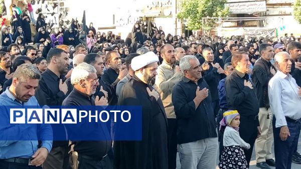 مراسم عاشورای حسینی در کهگیلویه و بویراحمد