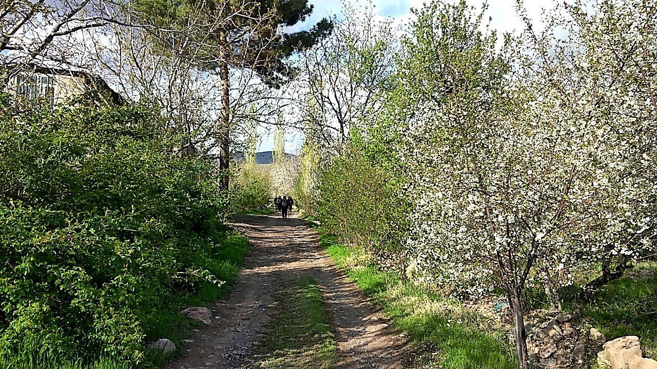 رویش شکوفه ها در روستای عیش آباد