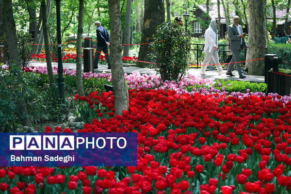 فصل لاله‌ها در بوستان باغ ایرانی