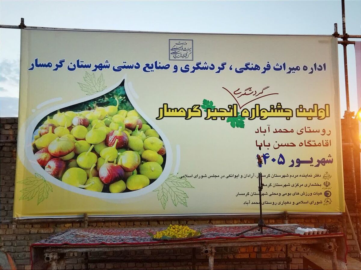 نخستین جشنواره انجیر در شهرستان گرمسار برگزار می‌شود