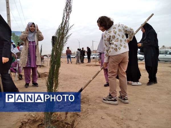 پویش مردمی درخت یادگار در یزد 
