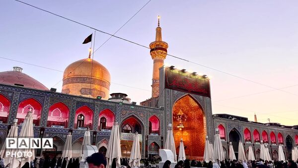 آرامشی زیر گنبد طلای امام رضا (ع)
