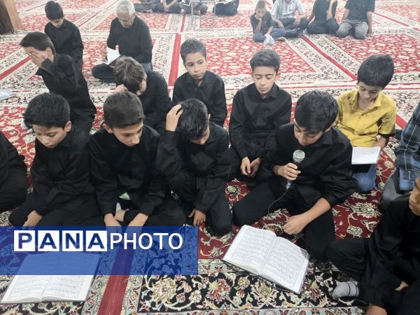 عزاداری و تغزیه خوانی خرابه شام و اجرای سرود بی بی رقیه