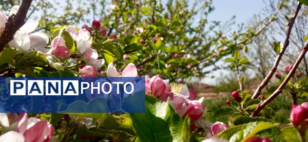 طبیعت بی نظیر روستا سربالا بهترین گزینه برای طبیعتگردی در فصل بهار