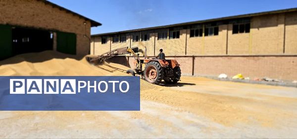 بازدید از مراکز خرید گندم در شهرستان فاروج