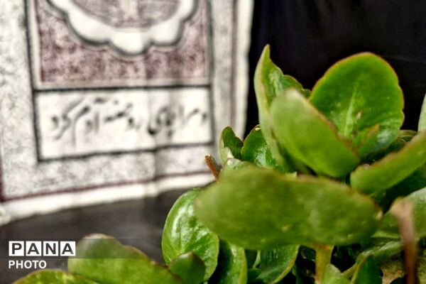 پیچش عطر کربلا در کوچه‌های فاز دو؛ میعادگاهِ دل‌های بی‌قرار در مکتب‌الحسن (ع)