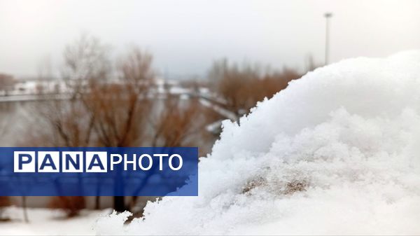 گرداب بن زیر چتر سپید برف