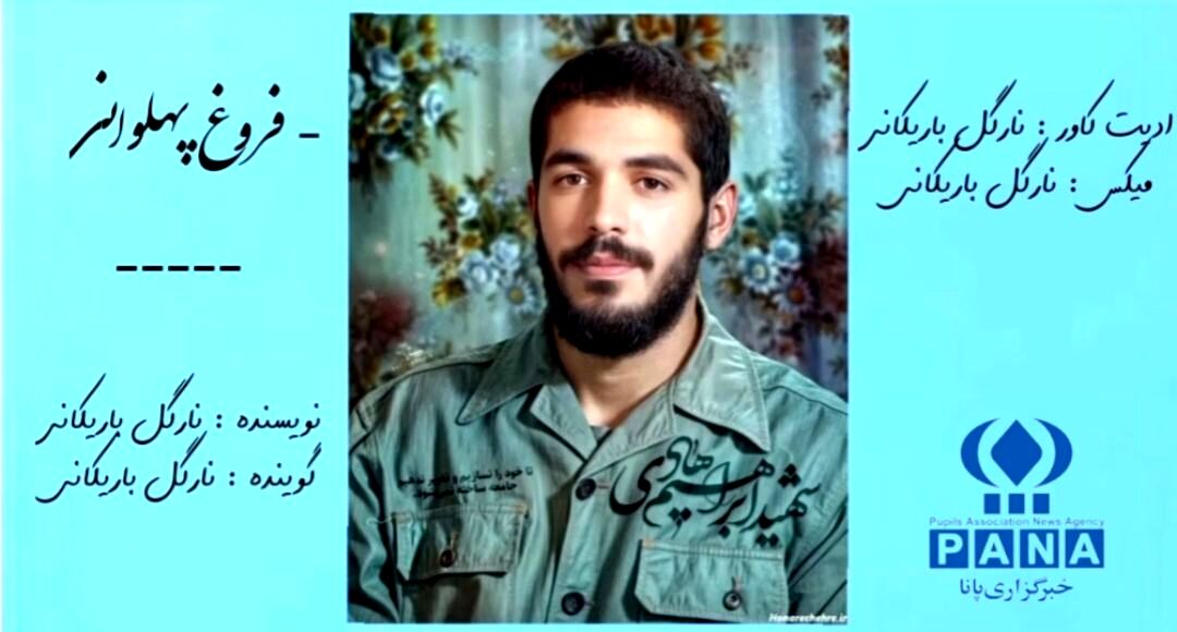 فروغ پهلوانی
