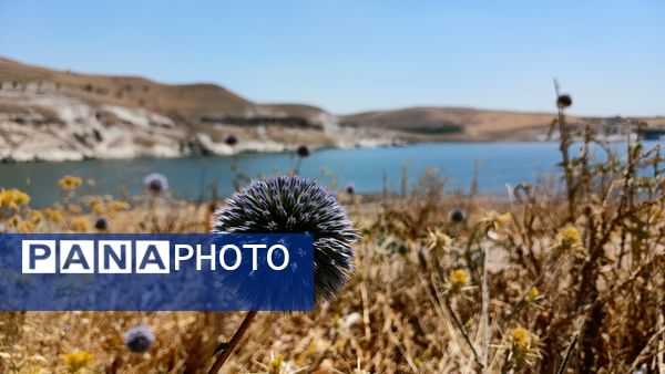 جلوه‌های پایتخت نجوم ایران در تابستان