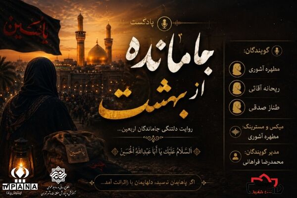 دلتنگ ارباب ، جامانده از اربعین حسینی 