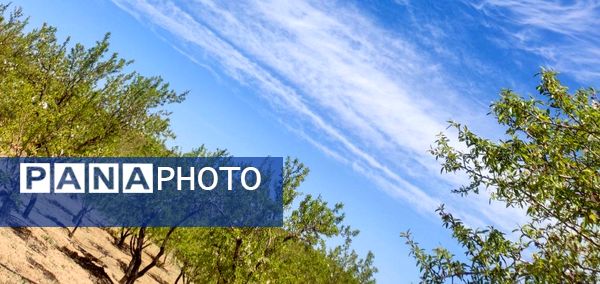 فصل بهار، فرصتی برای سر زندگی روح