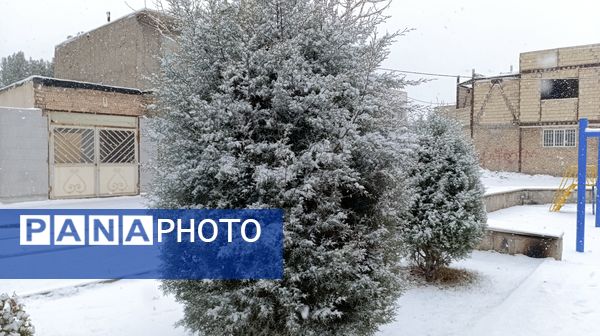 بارش نعمت الهی برف در شهرستان زیبای نیشابور 