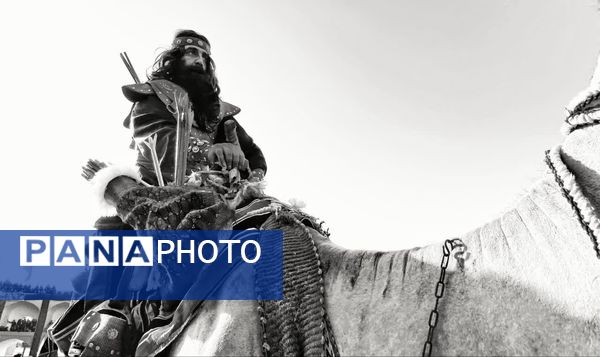 مجموعه عکس«علم از دست علمدار نیفتاده است هنوز»