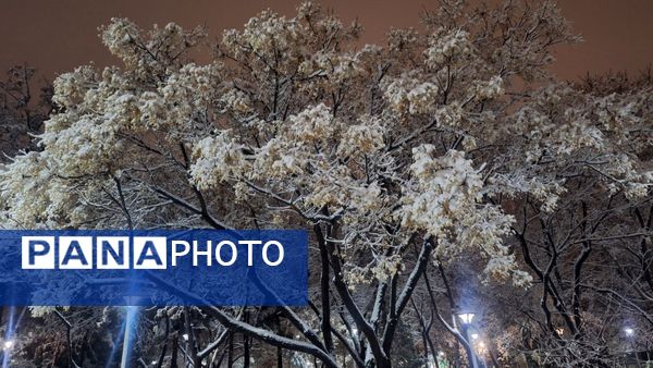 پارک‌های شهر مشهد در آغوش برف