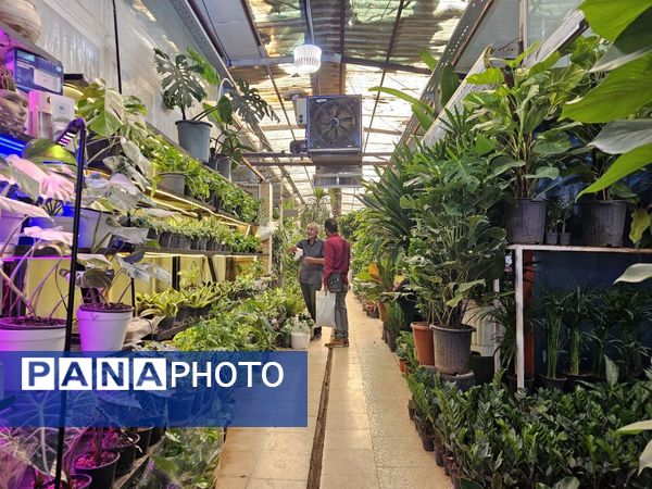 حال و هوای خاص در بازار گل محلاتی