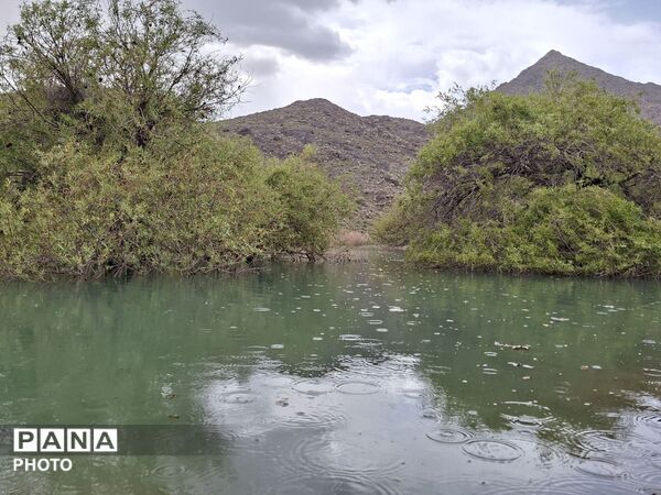 براکوه؛ جایی که کوهستان، جامه‌ی سرسبزی و طراوت پوشید