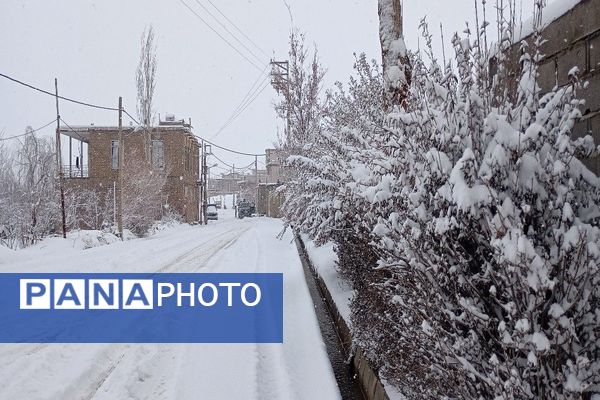 برف بارید و خدا پاکی خود را به شهر زیبایی بار هدیه کرد