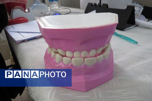 معلمان، مرزبانان سلامت دانش‌آموزان 