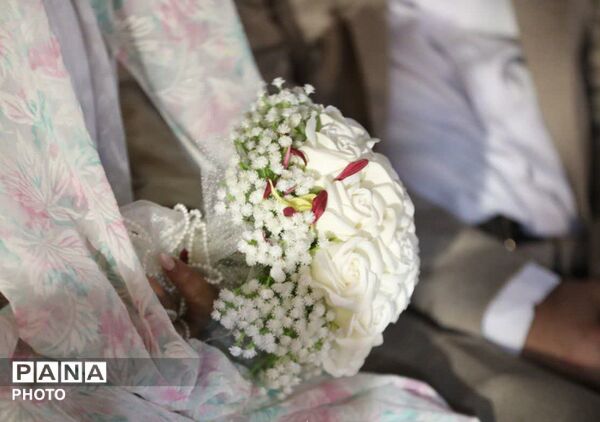 آغاز زندگی علوی و فاطمی زیر سایه ولایت 