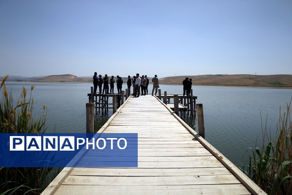 تور رسانه‌ای بازدید از تالاب‌های حوضه آبریز دریاچه ارومیه
