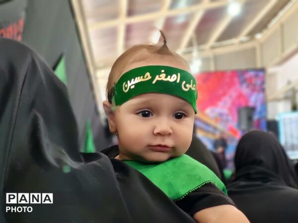 از گهواره تا کربلا؛ همایش شیرخوارگان حسینی در امامزاده کرار