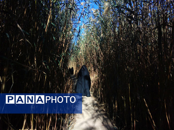 اردوی راهیان نور دختران دانش‌آموز قم