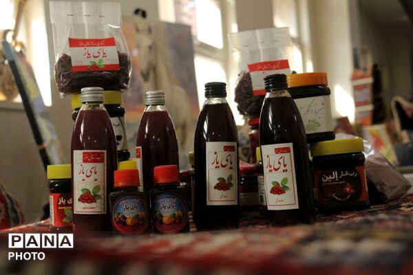 سیری در نمایشگاه دستاوردهای کانون‌های فرهنگی‌ تربیتی در آذربایجان شرقی