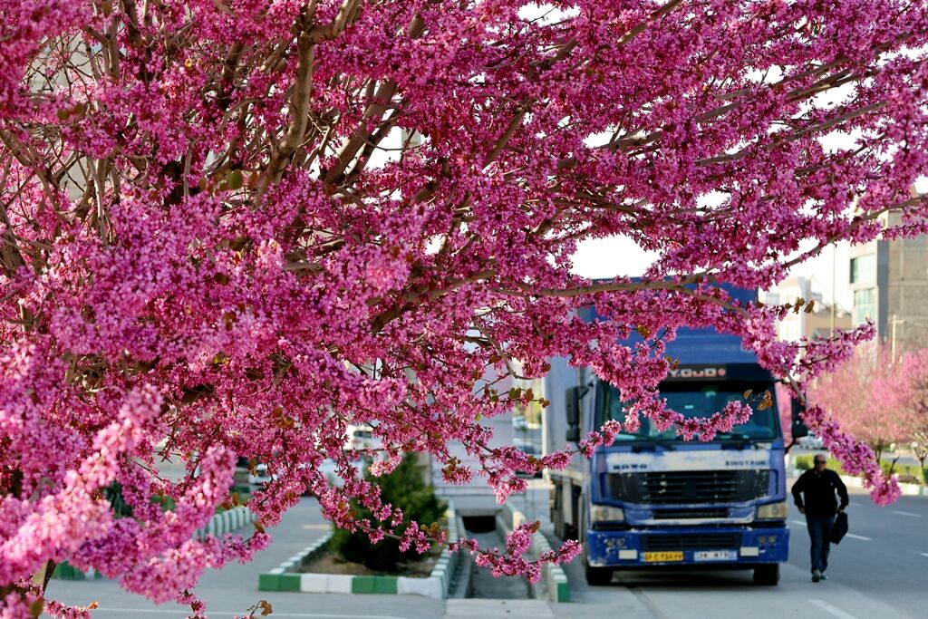 ارومیه شهر رویایی