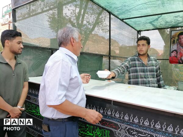 میدان توت اردکان، میزبان عزاداران امام حسن مجتبی(ع) از سراسر یزد