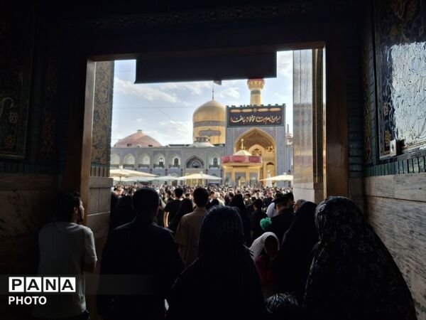 حرمی که هر گوشه اش یک روایت است؛ بارگاه علی ابن موسی رضا(ع) در قاب تصویر