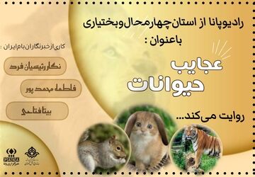  عجایب حیوانات