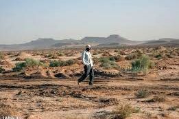 استان البرز در خط مقدم پیشگیری از بیابان‌زایی است