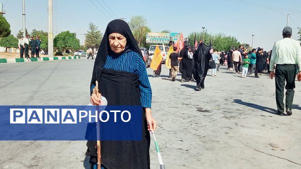 پیاده‌روی جاماندگان اربعین در یاسوج