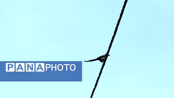 غافلگیری شهر بن از طرف آسمان