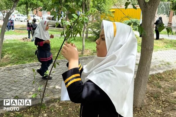 کاشت نهال در هفته معلم به نیابت از شهدای فرهنگی و دانش‌آموز در فرهنگسرای ولاء ناحیه دو شهرری 