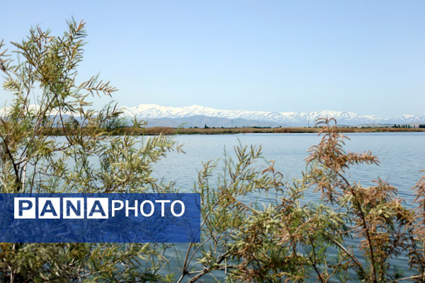 تور رسانه‌ای بازدید از تالاب‌های حوضه آبریز دریاچه ارومیه