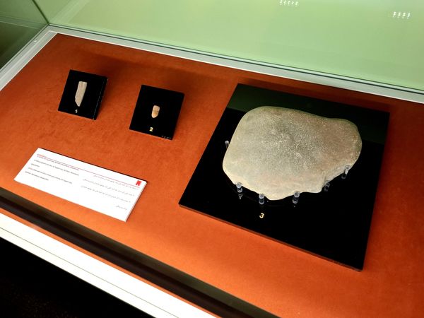 گشتی در تاریخ؛ از مدرسه دارالفنون به سمت دوره ایران باستان