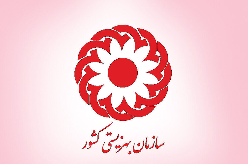 ارائه روزانه ۱۴ هزار خدمات اجتماعی در محلات توسط همیاران بهزیستی

