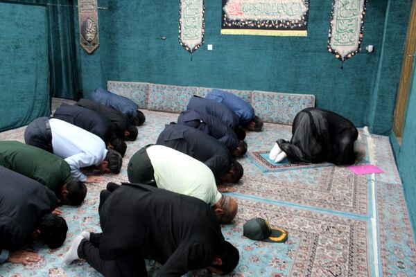 از شنیدن صدای کشاورزان «طرز» تا بازدید از زنجیره ارزش خرمای شرق کرمان