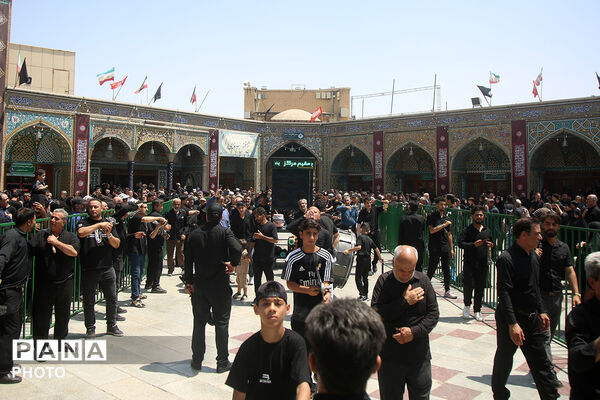 عزاداری اربعین حسینی(ع) در حرم حضرت معصومه(س)