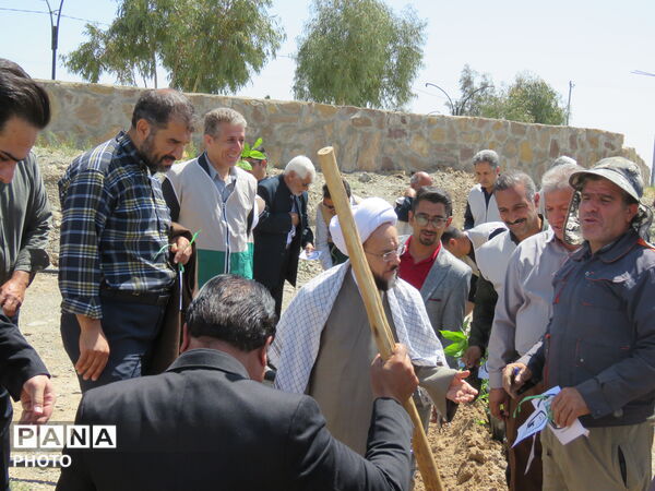آیین "درخت سرو ایران" در شهرستان خلیل آباد 