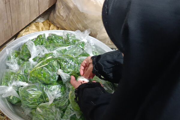 قرار آسمانی در اعتکاف نیشابور