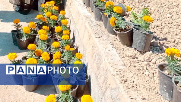 تجلیل از شهردار شهرستان مارگون به مناسب زیباسازی شهر