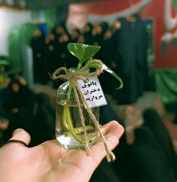 پاتوق مروارید در حسینیه ابوطالب (ع)
