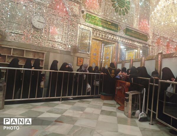 عاشقان حرم اباعبدالله الحسن در روز اربعین عراق 