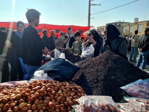 دومین جشنواره زرشک سیاه در روستای تیل شهرستان شبستر