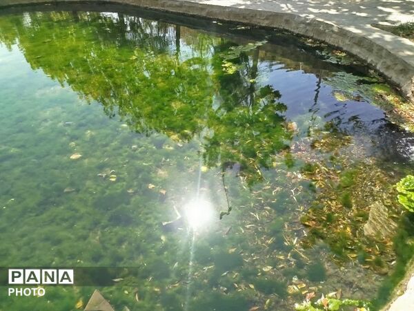 جلوه‌گریِ رنگ‌های پاییزی و طراوت چشمه در تفریحگاه «پیر خوشدر» کلاته‌رودبار