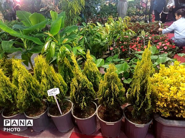نمایشگاه گل و گیاه و سوغات در همدان