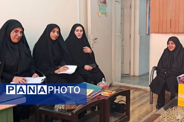 بازدید سرگروه کیفیت بخشی فعالیت‌های پرورشی استان از مدارس ناحیه دو شهرری 