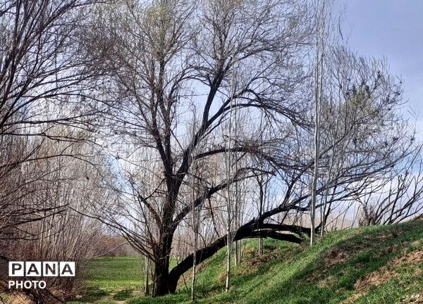 وانان؛ جایی که طبیعت خودش را آشکار می‌کند
